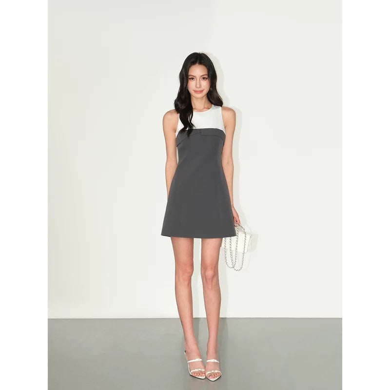 6208581195003,6208581195004,6208581195005,6208581195006,6208581195007,6208581195008,6208581195009,6208581195010, Sleeveless Colorblock A-Line Mini Dress